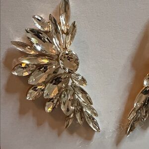 Elegant Silver Crystal Earrings